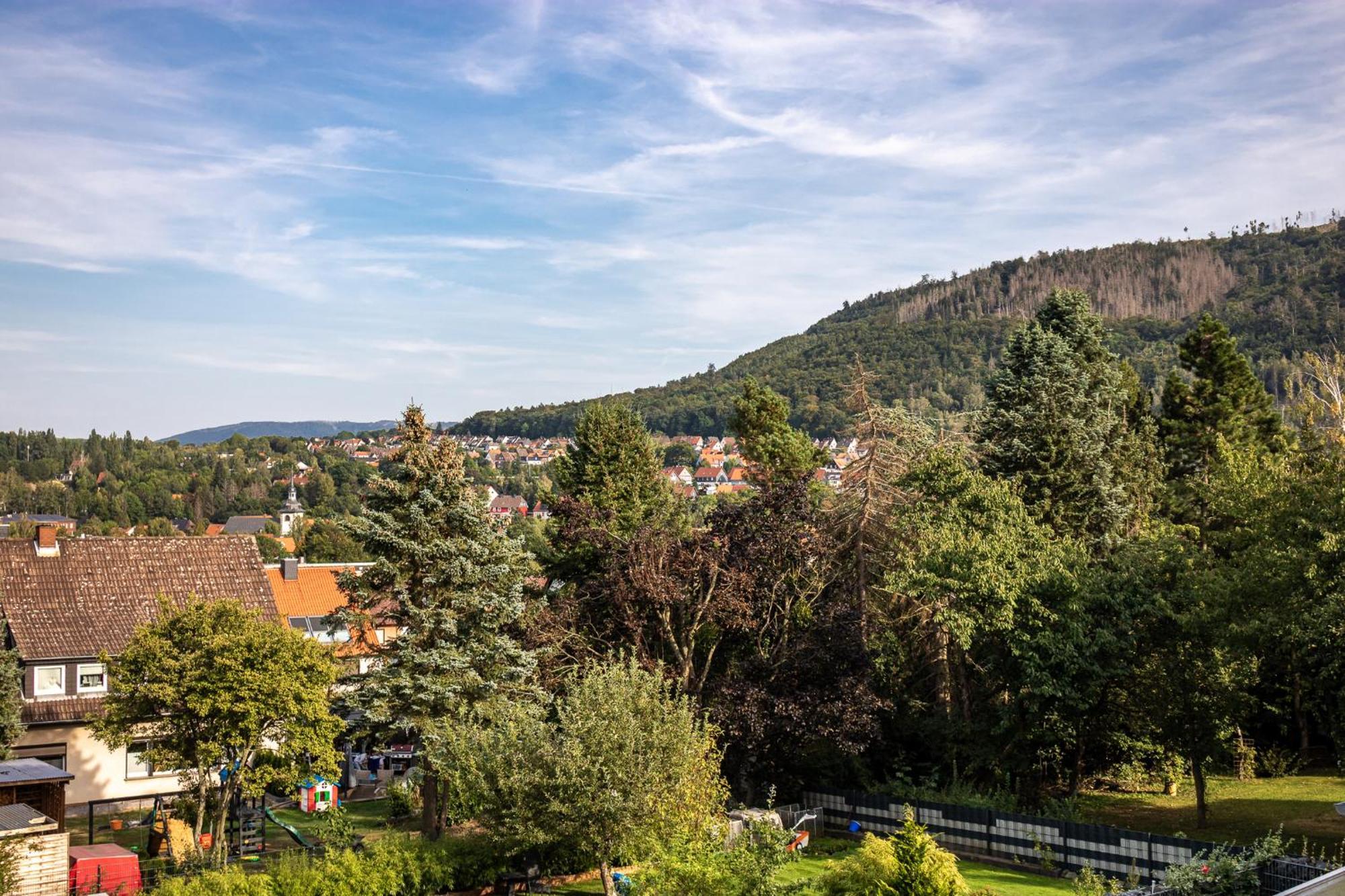 Ferienwohnung Am Bollrich ゴスラー エクステリア 写真